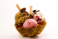 /album/icegelly/a7-jpg/